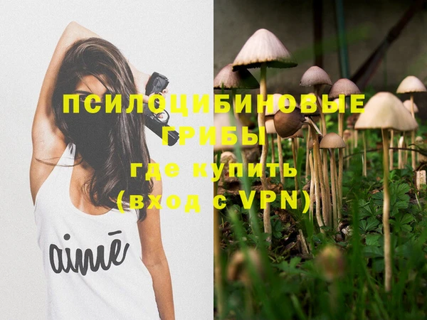 ECSTASY Дмитриев