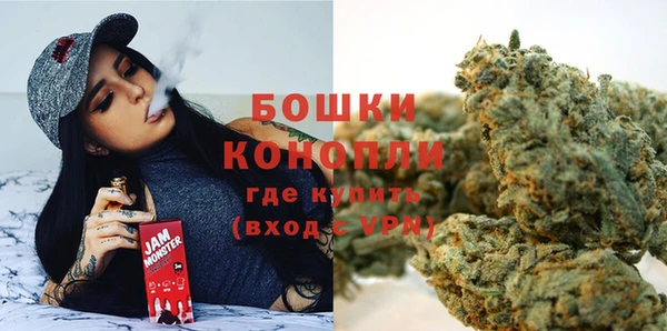 ECSTASY Дмитриев