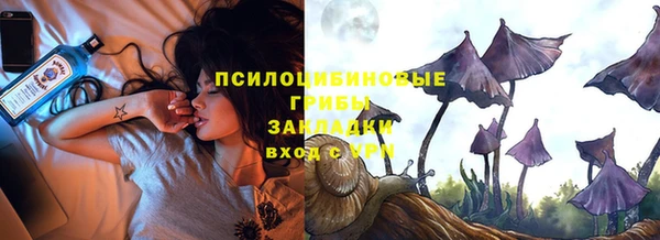 гашик Усмань