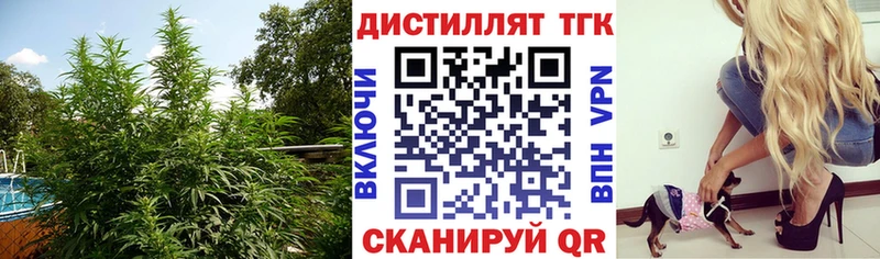 закладки  Новоржев  ТГК вейп с тгк 