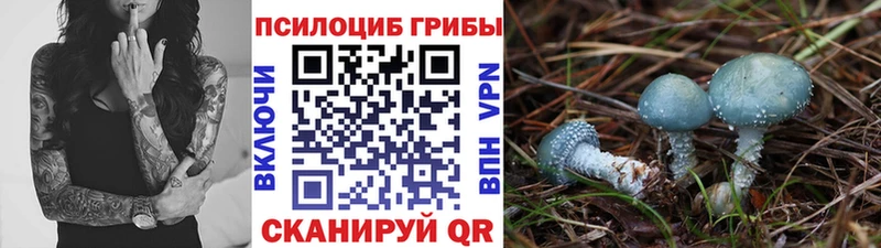 Псилоцибиновые грибы MAGIC MUSHROOMS  Новоржев 